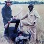 okavango_buffalo.jpg