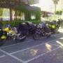 image_00464-747899.jpg
